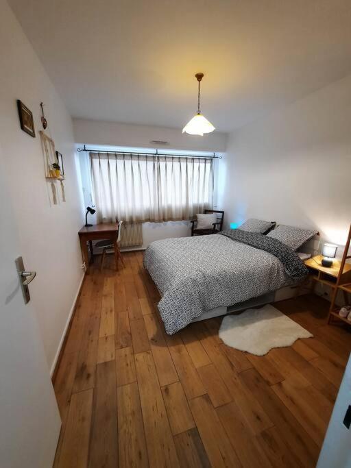 Chez Alice Apartment Colmar