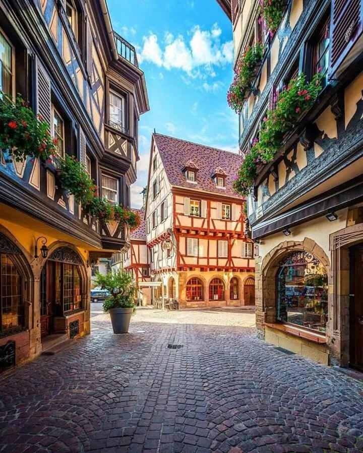 Chez Alice Apartment Colmar